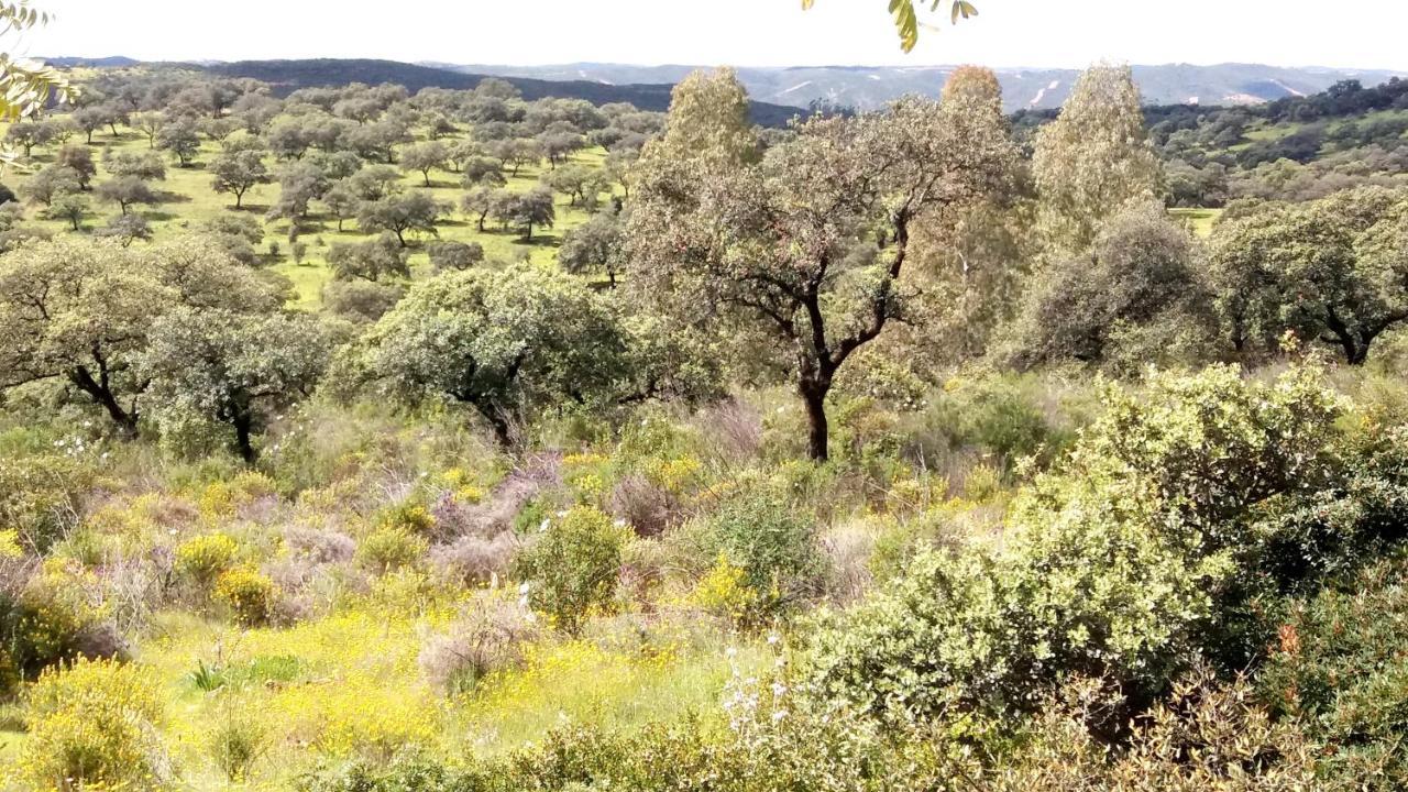 Casa Rural La Aulaga El Castillo de las Guardas Dış mekan fotoğraf